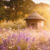 Ilustrácia výrobcu k matracu LAVENDER HONEY: levanduľová lúka, včely a drevený úľ.